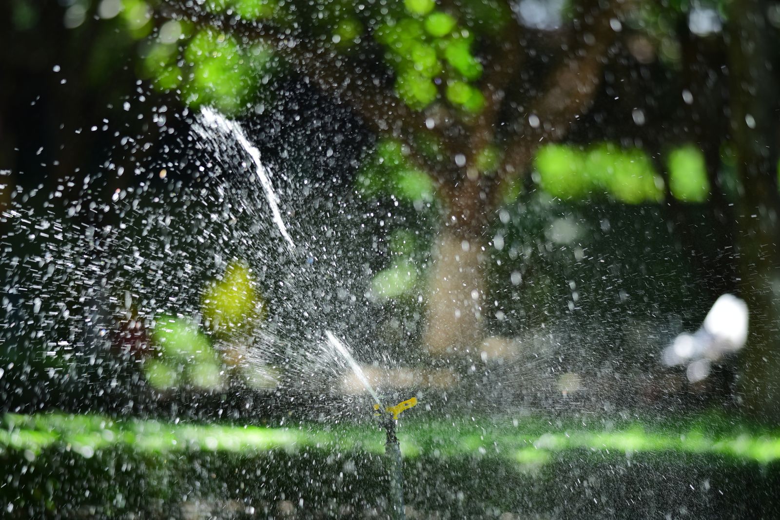 Sprinkler spraying water across a green lawn in sunlight