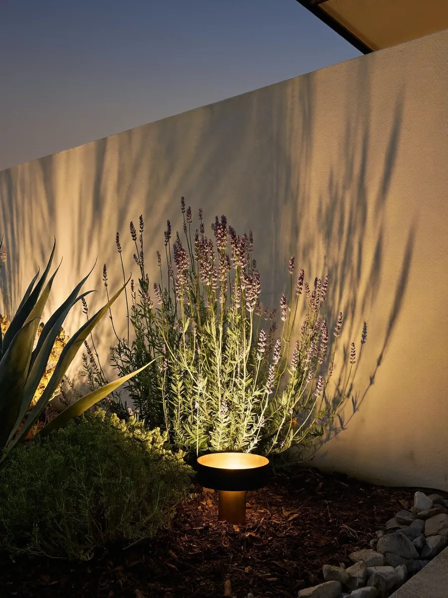 Warm uplight glowing through lavender, casting soft plant shadows on a stucco wall at dusk